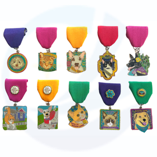 Custom zorgzaam voor zwerfdieren, katten en honden, Carnival Honor Medal