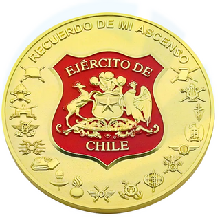 Fabriek groothandel bulk goedkoop aangepaste 3d zwarte chili munt chilan airforce challenge munten