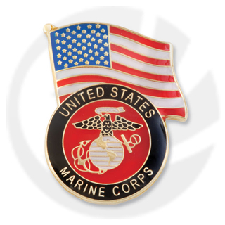 Eagle Globe and Anchor en USA Flag Pin