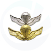 Aangepast goud grote militaire politie -badge