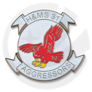 HMS 31 agressors pin